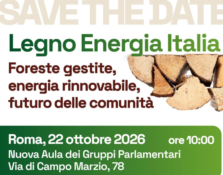 Legno Energia Italia. Foreste gestite, energia rinnovabile, futuro delle comunità